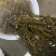 5.8斤，山东晒干盐渍厚海带丝，全长丝。