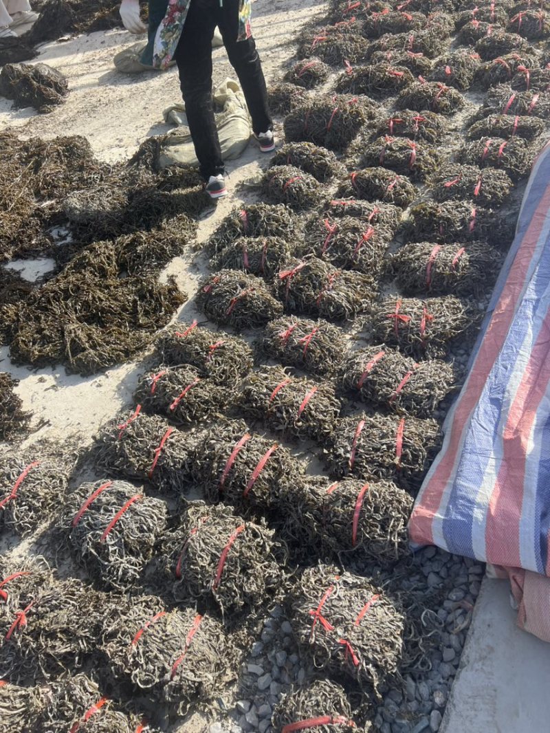 5.8斤，山东晒干盐渍厚海带丝，全长丝。