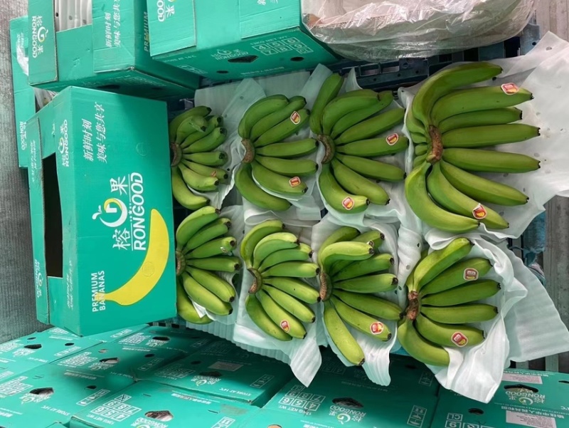 精品二级蕉，品质邦邦硬，好品质，好质量，好口感