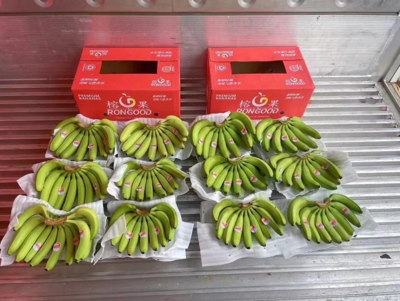 精品二级蕉，品质邦邦硬，好品质，好质量，好口感
