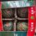 《西瓜》专业供应精品美都西瓜，麒麟西瓜，产地直发
