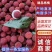 广西特早红杨梅，现摘现批发，量大从优