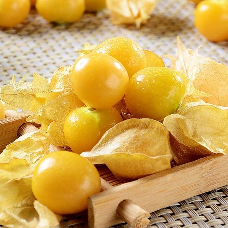 奶油菇娘果种子奶香味黄菇娘果东北灯笼果种子水果种子