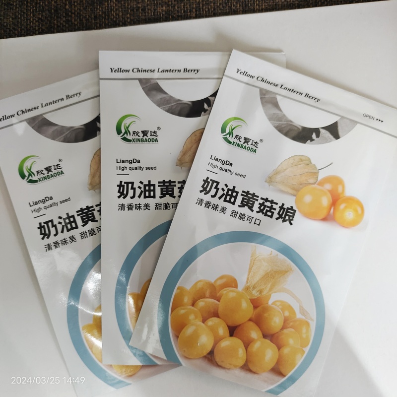 奶油菇娘果种子奶香味黄菇娘果东北灯笼果种子水果种子