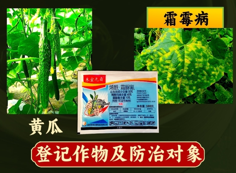 禾宜烯酰霜脲氰50%黄瓜霜霉病原厂原证农药杀菌剂