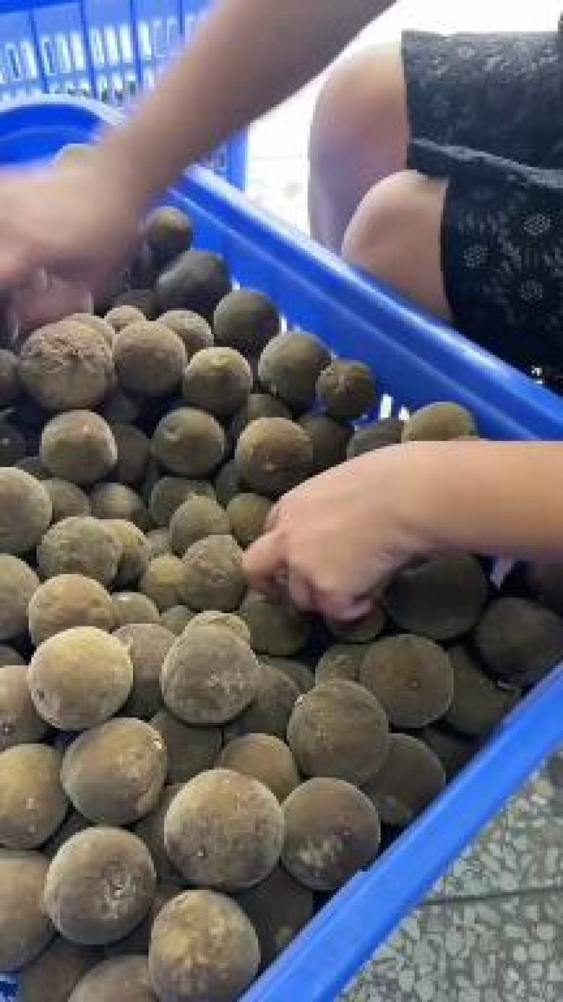 产地化州橘红大小规格齐全，有原果，压果切片规格片批发