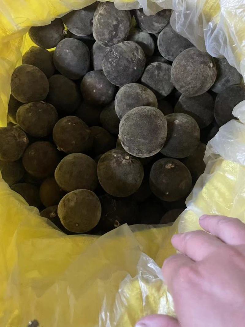 产地化州橘红大小规格齐全，有原果，压果切片规格片批发