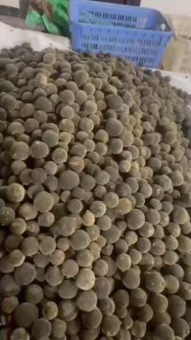产地化州橘红大小规格齐全，有原果，压果切片规格片批发