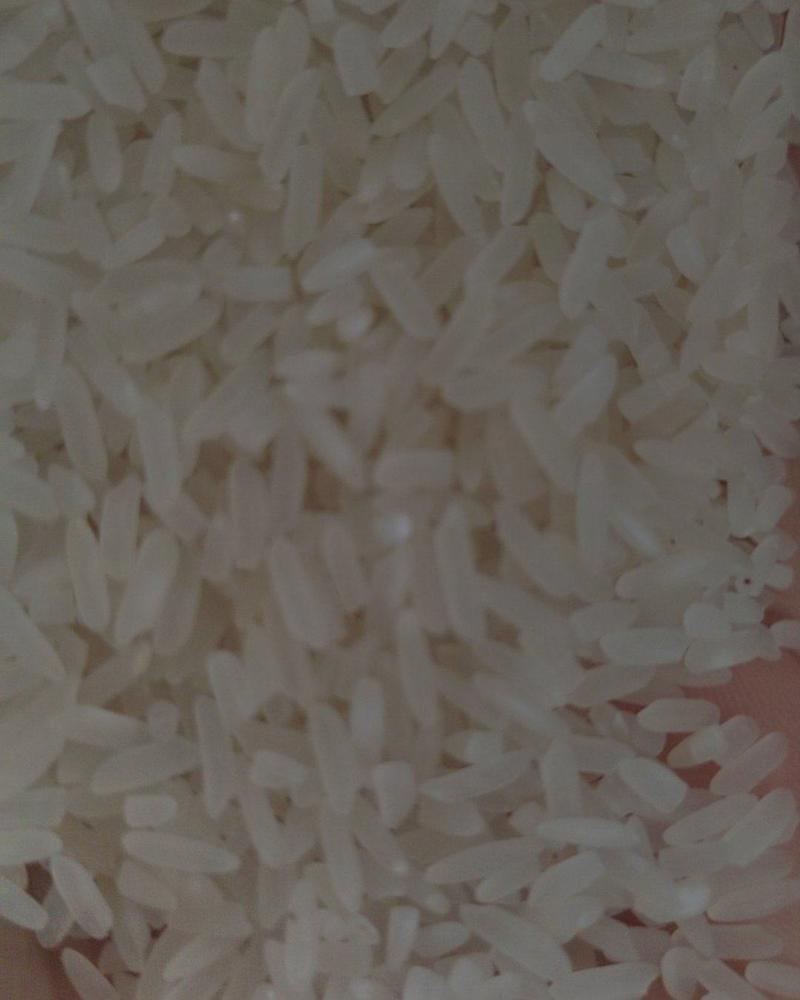 优质大米