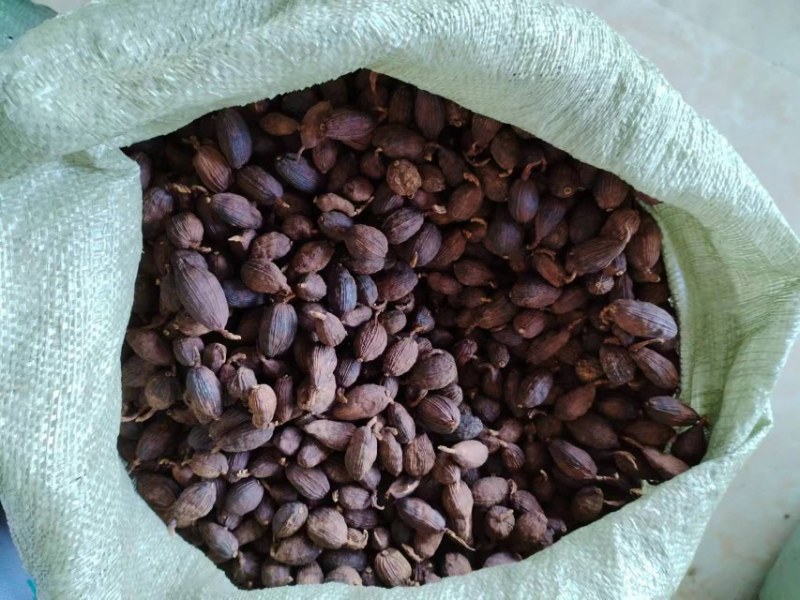 云南草果好货