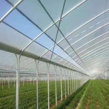 连体蔬菜大棚养殖大棚温室大棚上门安装全国发货