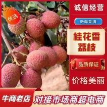 【精选】海南精品桂花香荔枝大量供应现摘现发代发全国