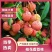 【实力商家】精品桂花香荔枝高端品质新鲜采摘对接电商
