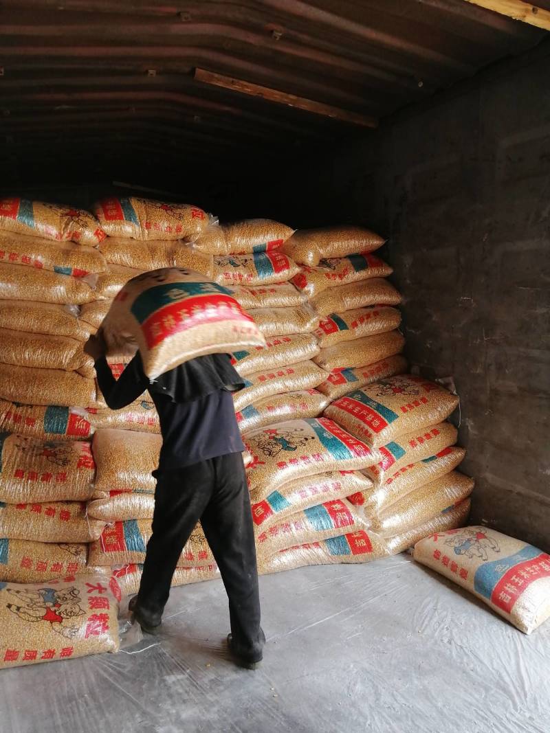 色选玉米，玉米，量大从优，火车汽车优质玉米，