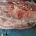 本地马肉大块带腱子纯干超码称重有长期供货能力。