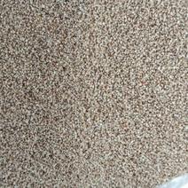 大量加工玉米芯颗粒玉米芯粉规格为46810