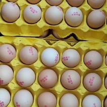 贵州红心鸡蛋