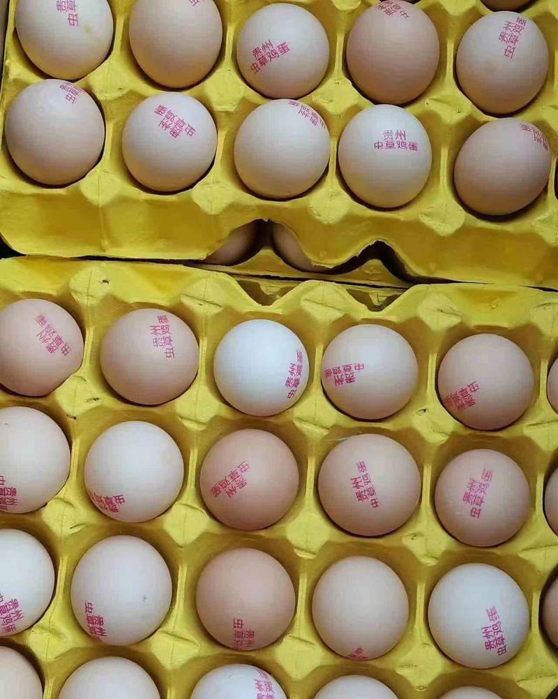 贵州红心鸡蛋