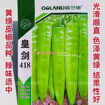 欧兰德黄绿皮尖椒种子皇剑418辣椒种子辣味中辣耐低温好