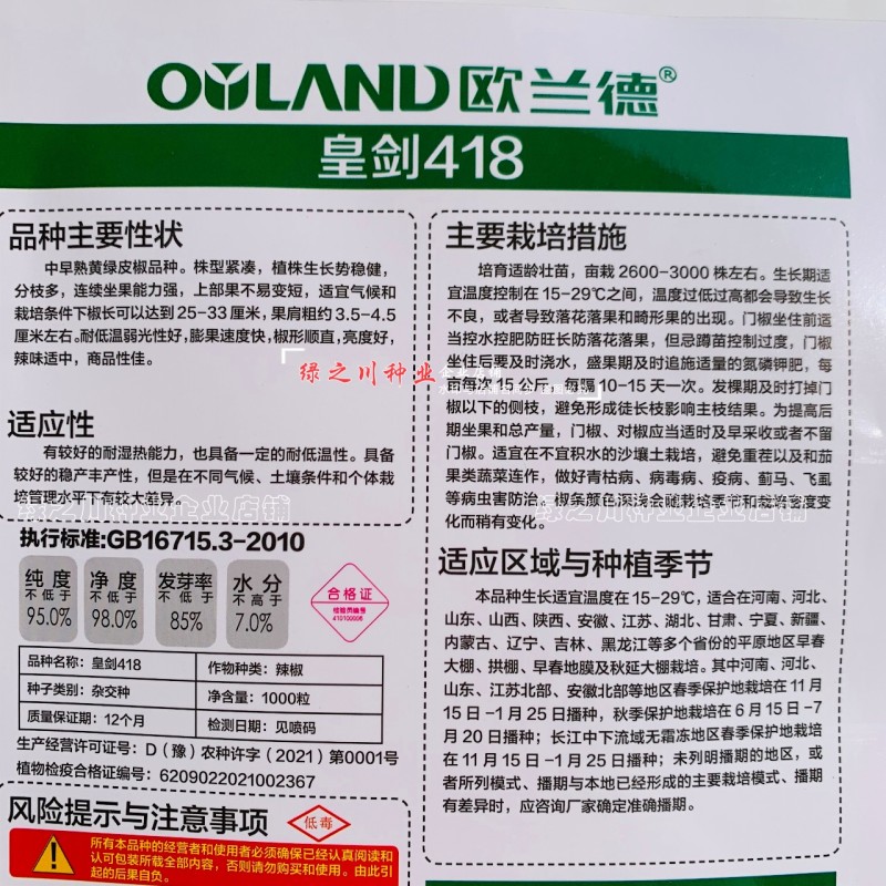 欧兰德黄绿皮尖椒种子皇剑418辣椒种子辣味中辣耐低温好