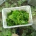 生菜意大利生菜