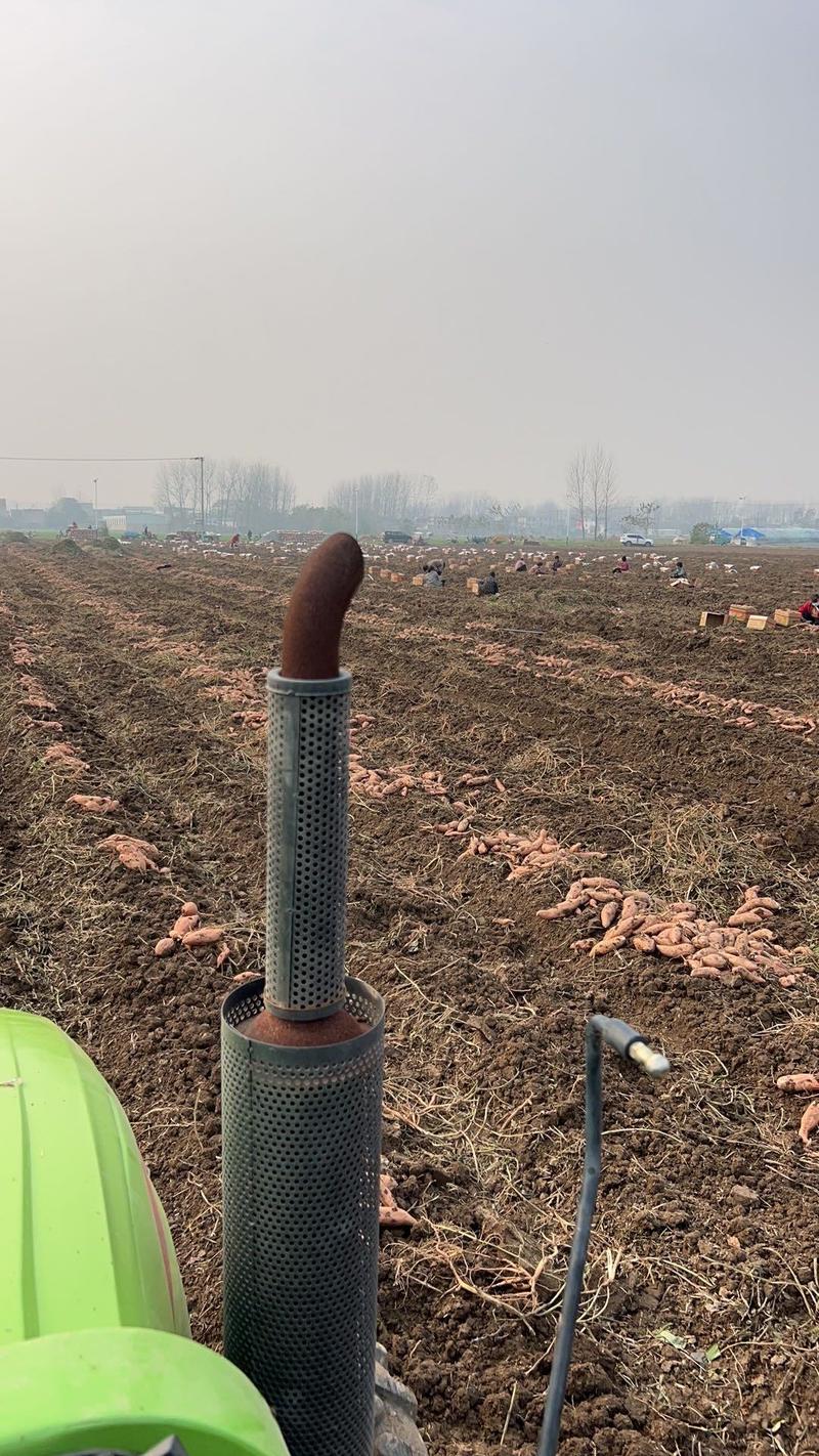 【推荐】红薯粉条手工粉条厂家直发一手货源品质保障