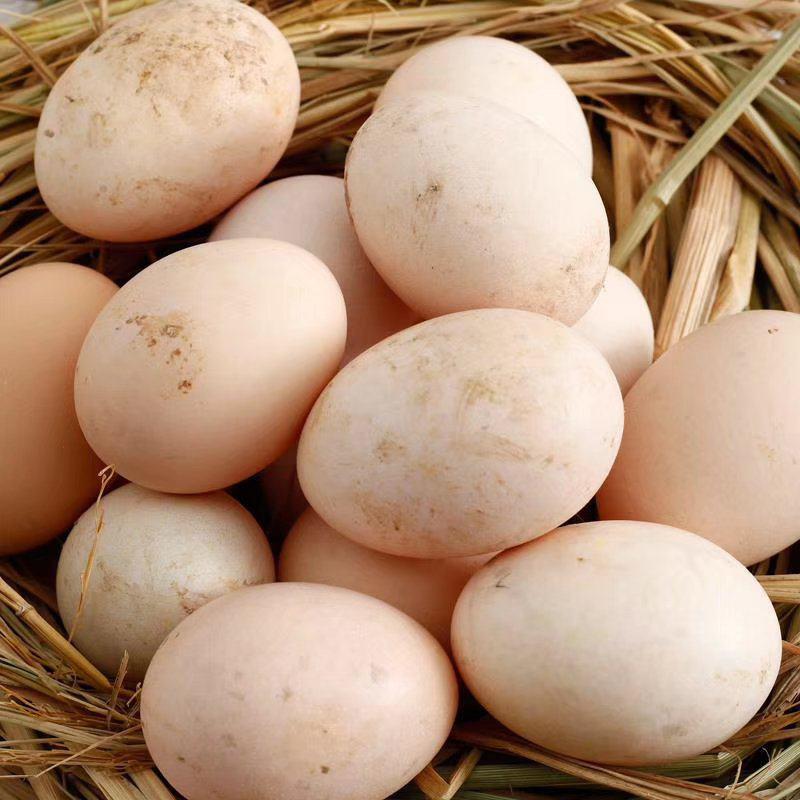 正宗散养土鸡蛋，吃玉米，五谷杂粮不吃饲料鸡蛋都有检测报告