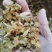 天冬正品家种天冬片批发零售各种规格中药材
