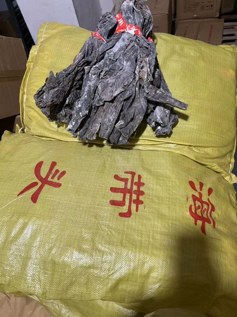 海带海带头无沙海带纯干海带头福建海带霞浦海带