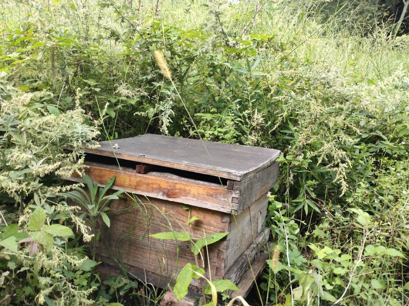土蜂蜜龙泉驿区山泉镇红花村轩轩家庭农场大山仿野生土蜂蜜