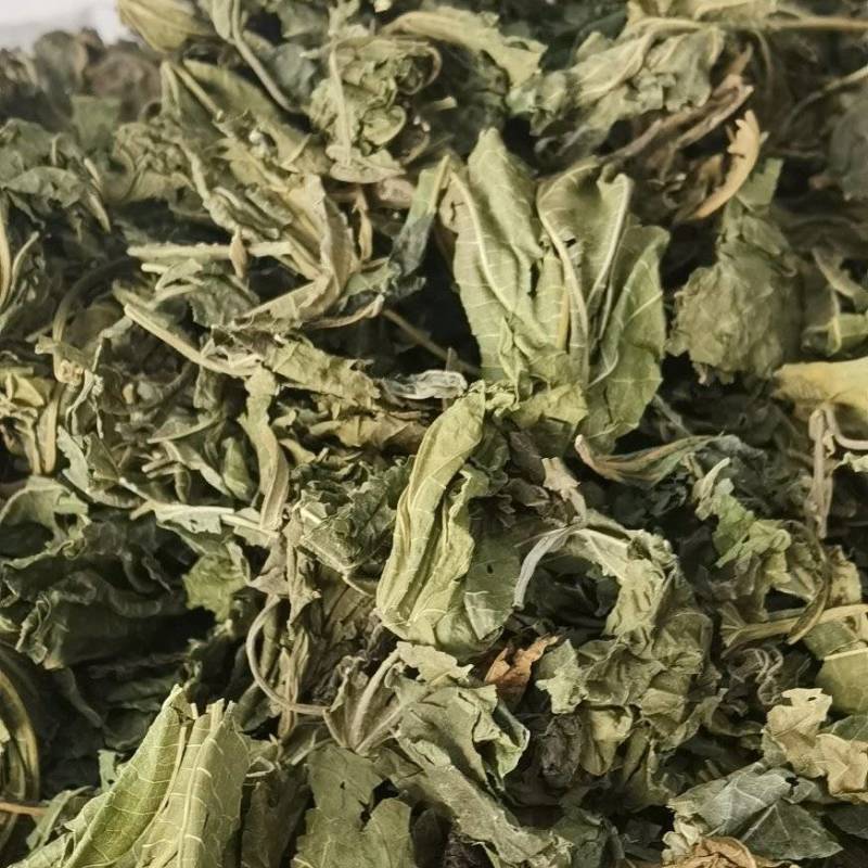 【桑叶】1000克统装实物拍摄量大从优