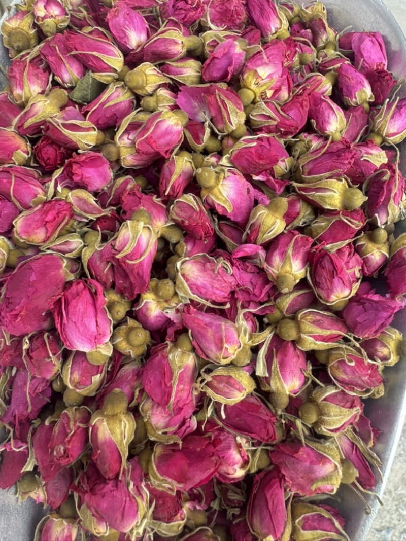 玫瑰花山东平阴玫瑰花干玫瑰玫瑰金边玫瑰实物拍摄