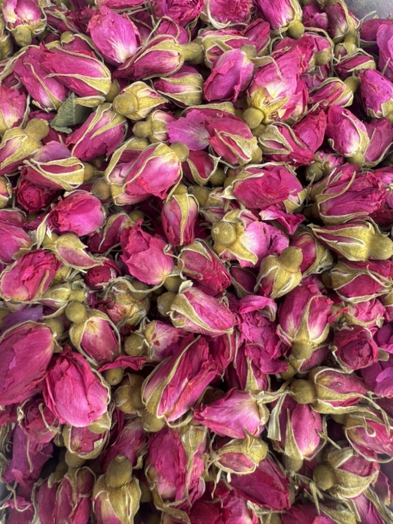 玫瑰花山东平阴玫瑰花干玫瑰玫瑰金边玫瑰实物拍摄