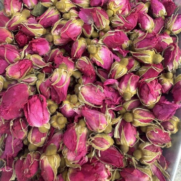 玫瑰花山东平阴玫瑰花干玫瑰玫瑰金边玫瑰实物拍摄