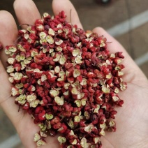 实图精品包邮花椒韩城大红袍陕西韩城大红袍产地直供
