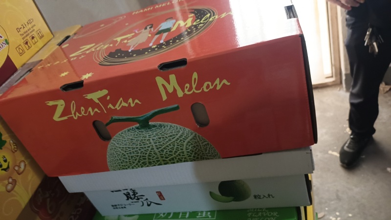 鲁后甜甜瓜滑县万亩甜瓜，代发全国，诚信第一，实力代办