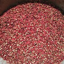 精品大红袍花椒，大量供应，山西产地直发，量大从优欢迎咨询