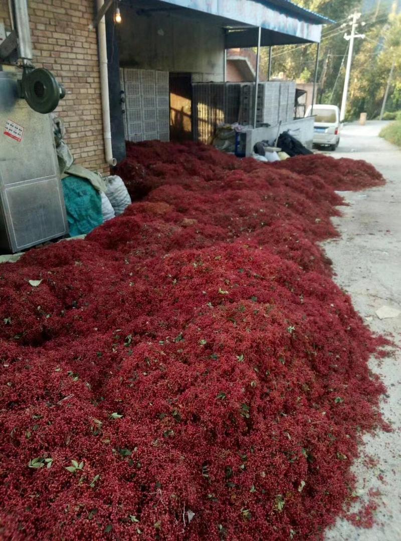 【大红袍花椒】大量供应，量大从优，山西产地直发，可验货
