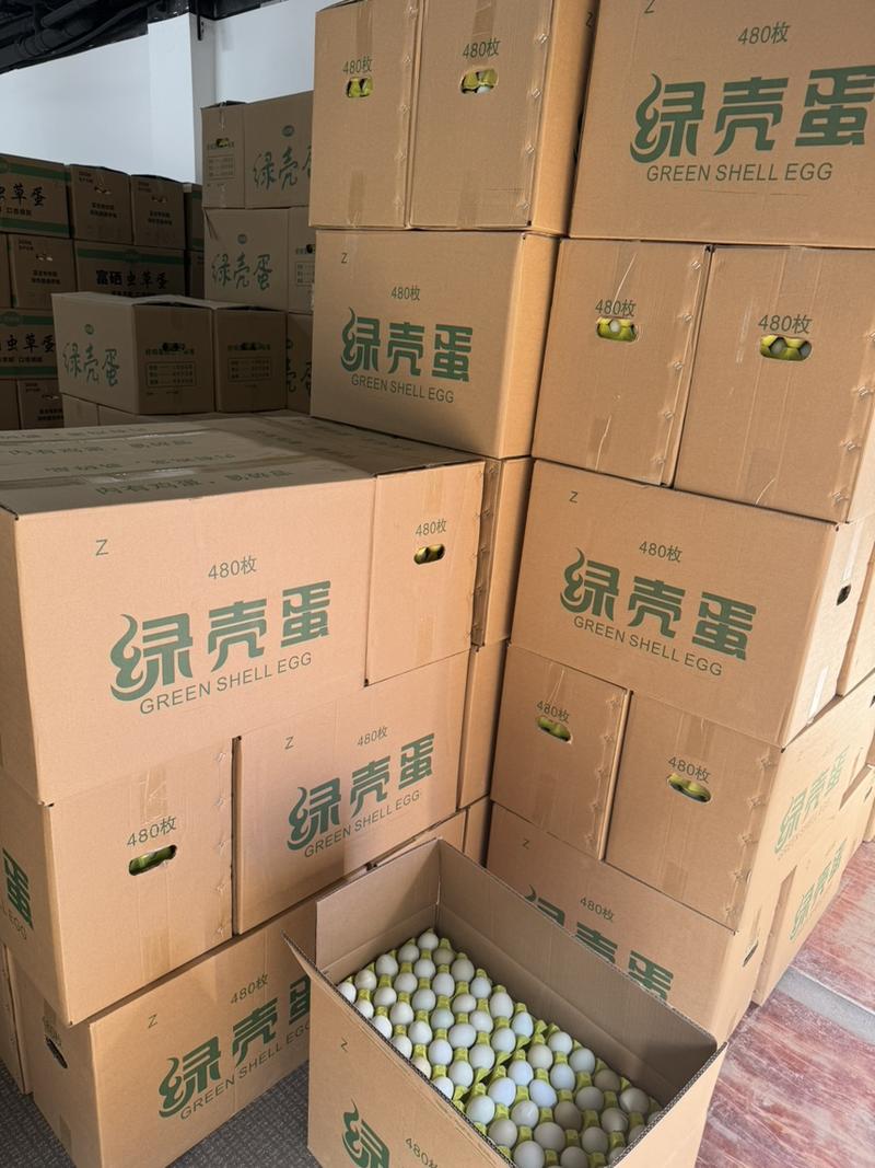 480枚精品绿壳鸡蛋，一手货源，质优价廉，全国发货。
