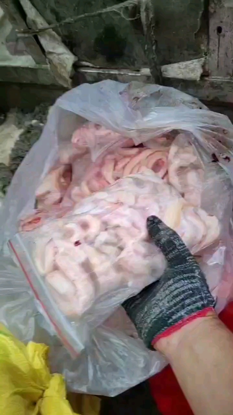 精选牛脊髓厂家直销质量可靠欢迎老板前来选购可发全国