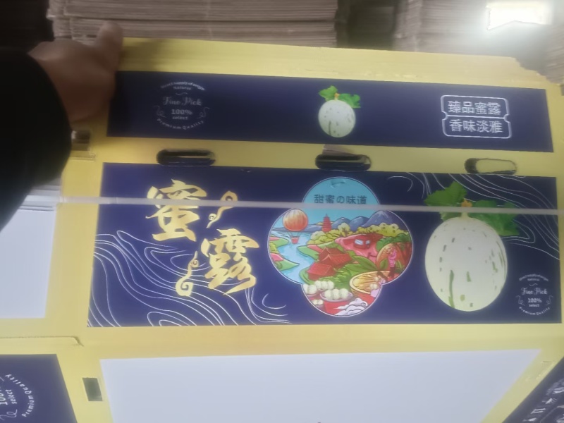 密露流星，河南滑县万亩甜瓜，实力代办，代发全国，诚信第一