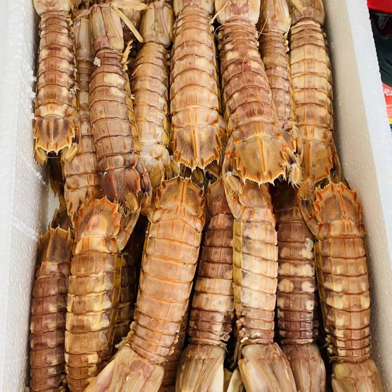 渤海湾，皮皮虾。支持一件代发。落地配。