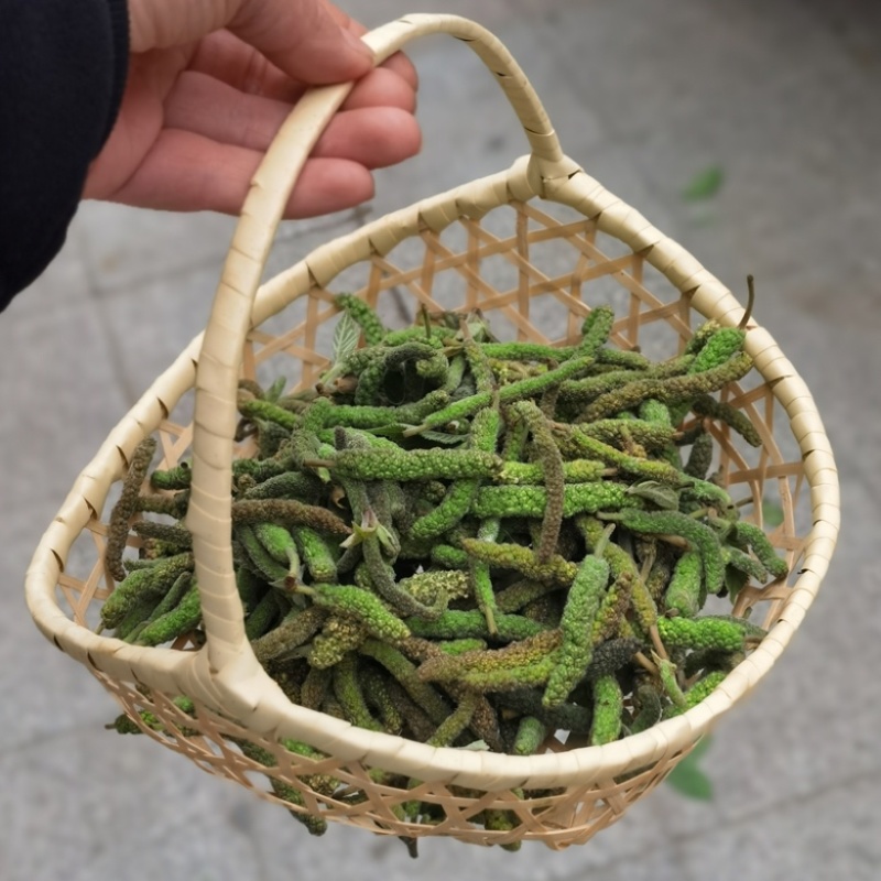榆钱，南阳榆钱，邓州榆钱