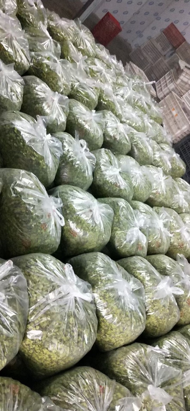 榆钱，南阳榆钱，邓州榆钱