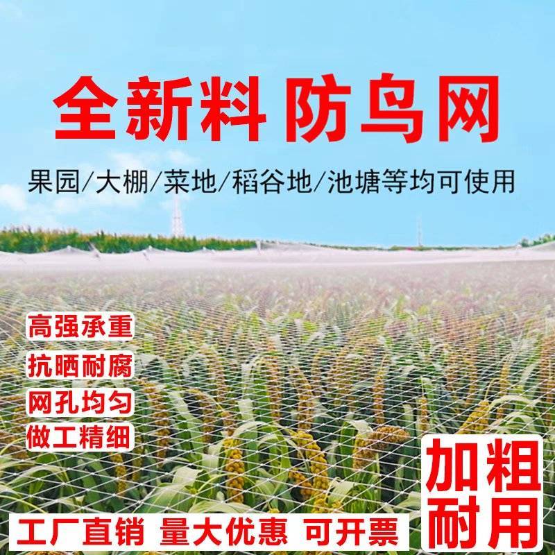 防鸟网果树防鸟用网葡萄樱桃果园菜地尼龙线纱网丝网大棚鱼塘