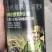 小麦水稻硅肥增产用叶面肥孕穗灌浆肥促进分蘖穗大粒饱抗倒伏