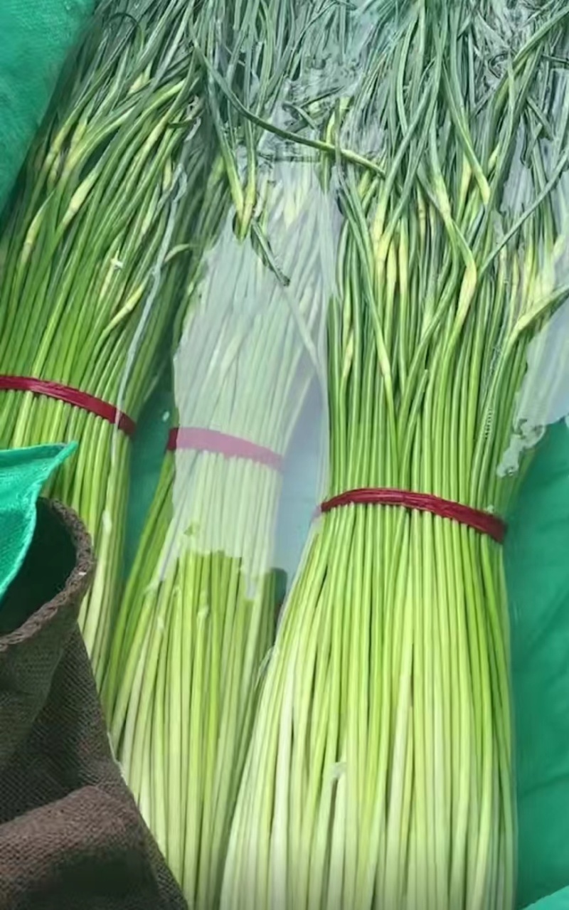 徐州白帽蒜薹，产地直发，对接全国各大市场，电商平台各大商