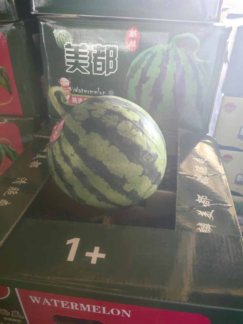 麒麟瓜，云南美都西瓜甜王西瓜可商超供货，各大批发市场