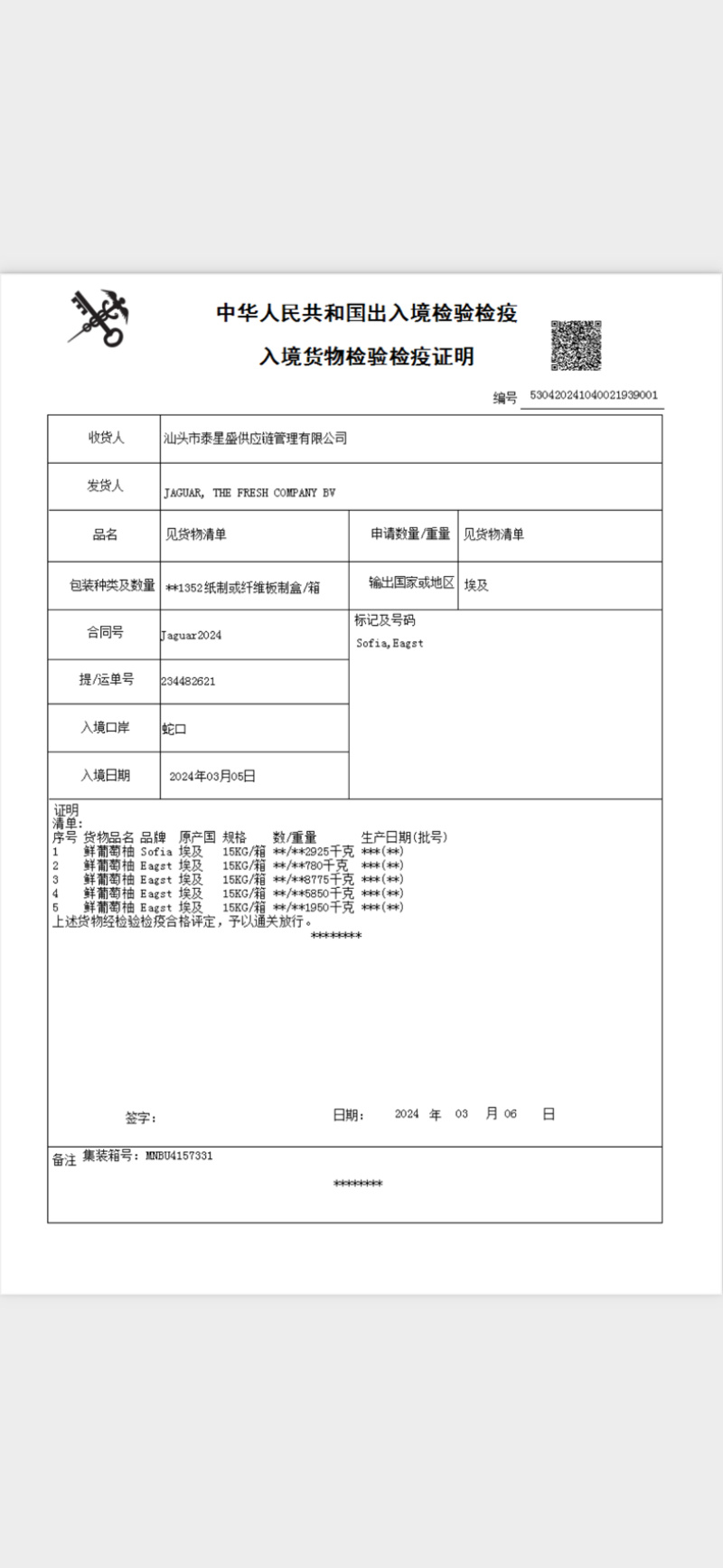 进口西柚南非西柚以色列西柚精品加工级小果