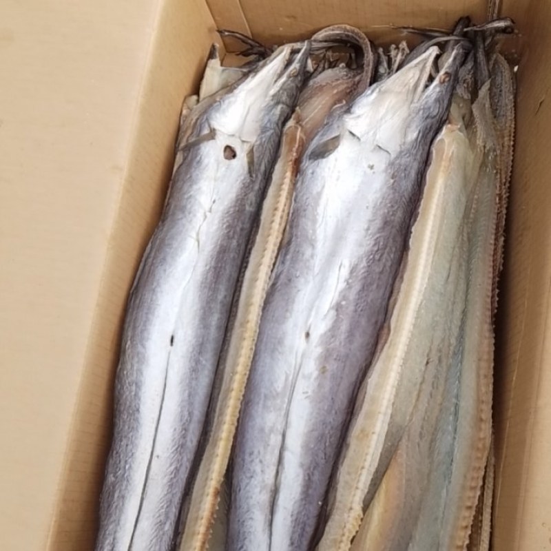 【推荐】鳗鱼干肉质鲜嫩